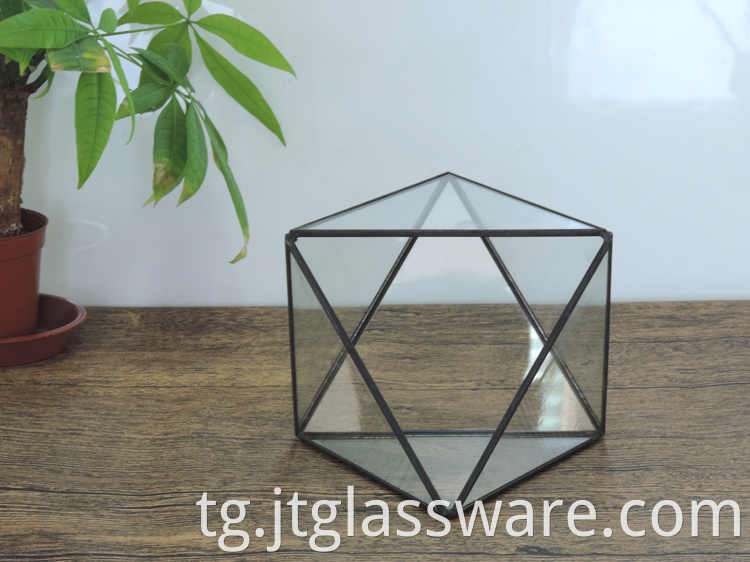 Pentagon Ball Shape Open Glass Geometric Terrarium